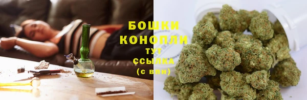 мяу мяу мука Новозыбков