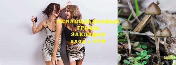 мяу мяу мука Новозыбков
