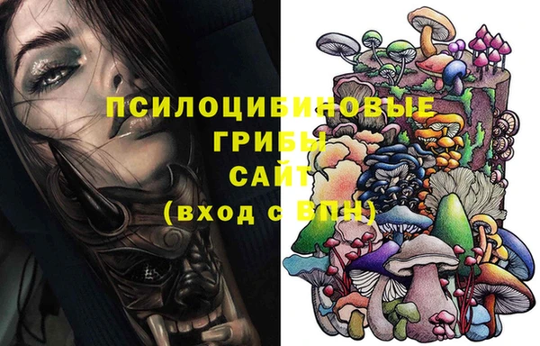 меф Новодвинск