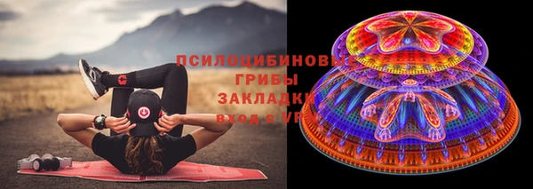 мяу мяу мука Новозыбков