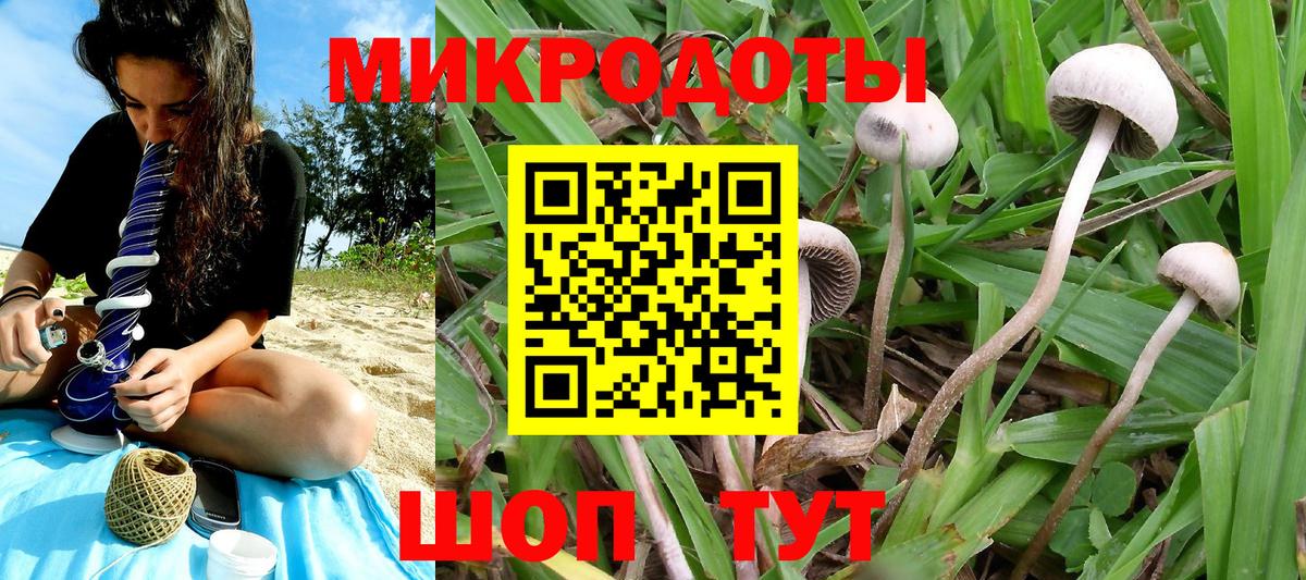 Псилоцибиновые грибы мицелий Ачинск