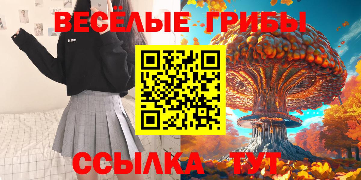 Псилоцибиновые грибы мицелий  Вход с VPN  Ачинск  Галлюциногенные грибы Psilocybe 