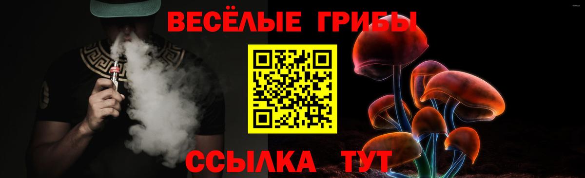 Псилоцибиновые грибы Psilocybine cubensis Ачинск