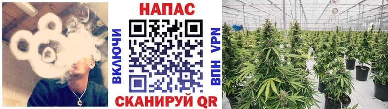 Бошки марихуана THC 21%  Ачинск 